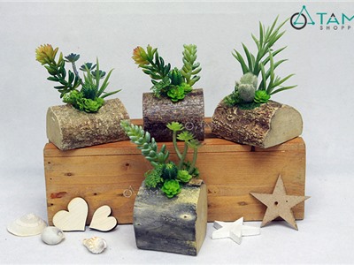 Tiểu cảnh sen đá giả để bàn đế gỗ F-CHĐB-96